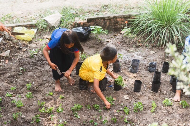 Enfants s'occupant du jardin potager